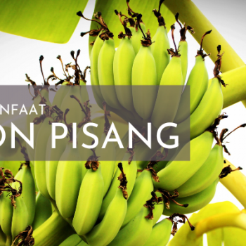 Berbagai Manfaat Pohon Pisang, Pelepahnya Bisa Dijadikan Kain